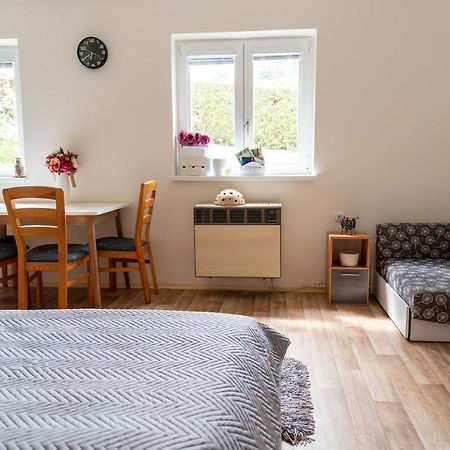 Apartman Fraise Apartment Decin Exterior photo